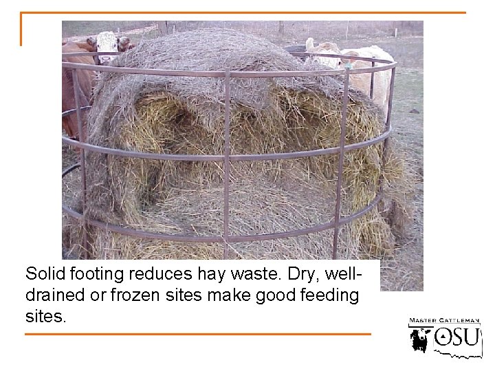 Solid footing reduces hay waste. Dry, welldrained or frozen sites make good feeding sites.