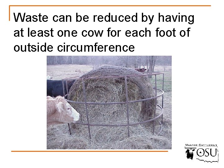 Waste can be reduced by having at least one cow for each foot of