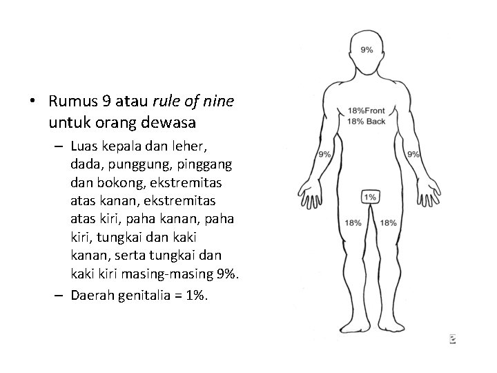  • Rumus 9 atau rule of nine untuk orang dewasa – Luas kepala