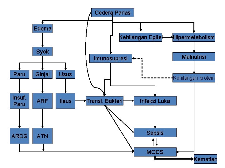 Cedera Panas Edema Kehilangan Epitel Syok Malnutrisi Imunosupresi Paru Ginjal Usus Insuf. Paru ARF