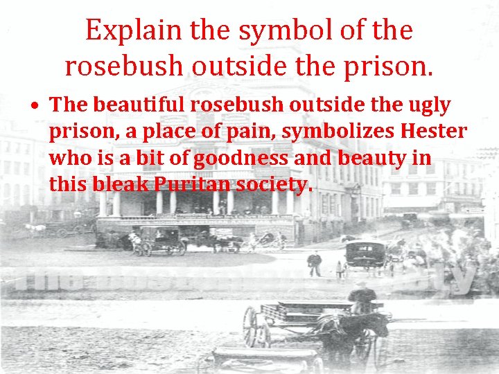 Explain the symbol of the rosebush outside the prison. • The beautiful rosebush outside