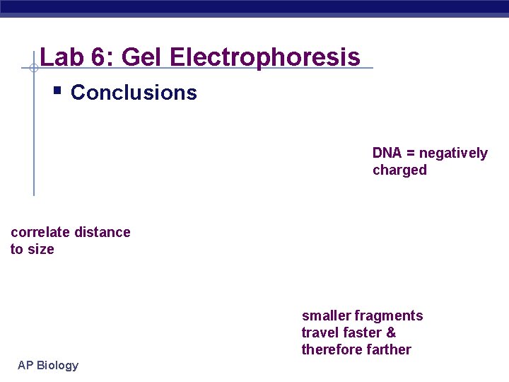 Lab 6: Gel Electrophoresis § Conclusions DNA = negatively charged correlate distance to size