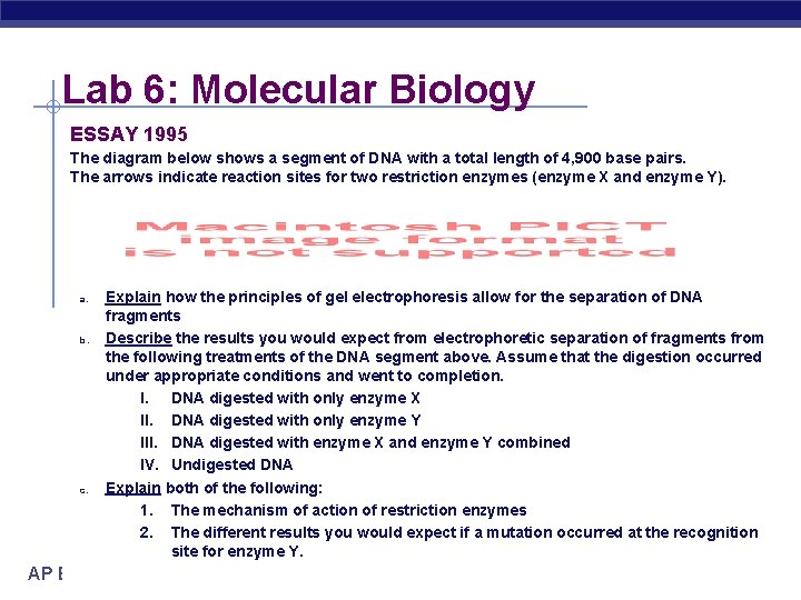 Lab 6: Molecular Biology ESSAY 1995 The diagram below shows a segment of DNA