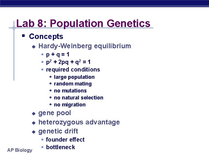 Lab 8: Population Genetics § Concepts u Hardy-Weinberg equilibrium § p+q=1 § p 2