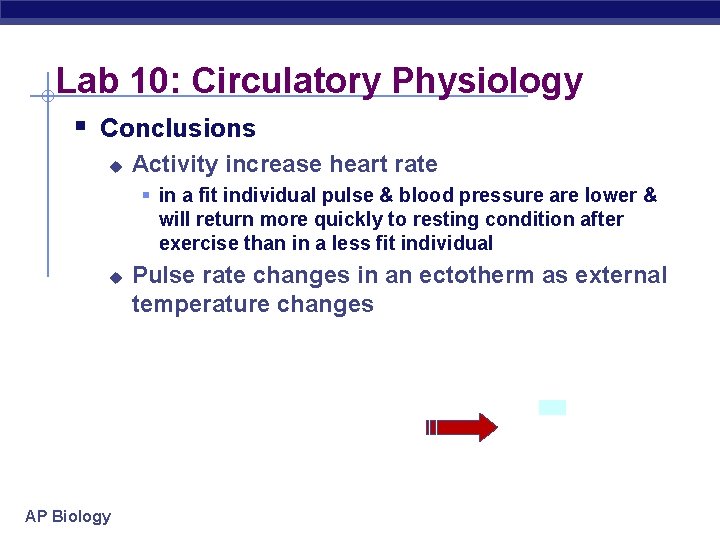 Lab 10: Circulatory Physiology § Conclusions u Activity increase heart rate § in a