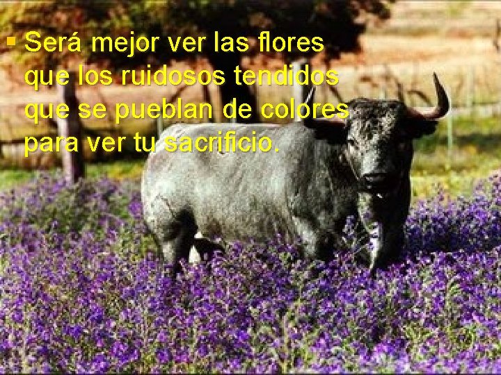 § Será mejor ver las flores que los ruidosos tendidos que se pueblan de