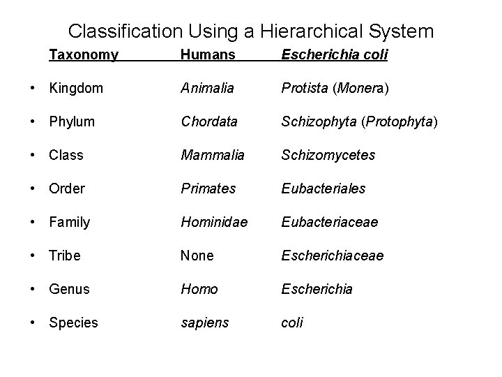 Classification Using a Hierarchical System Taxonomy Humans Escherichia coli • Kingdom Animalia Protista (Monera)