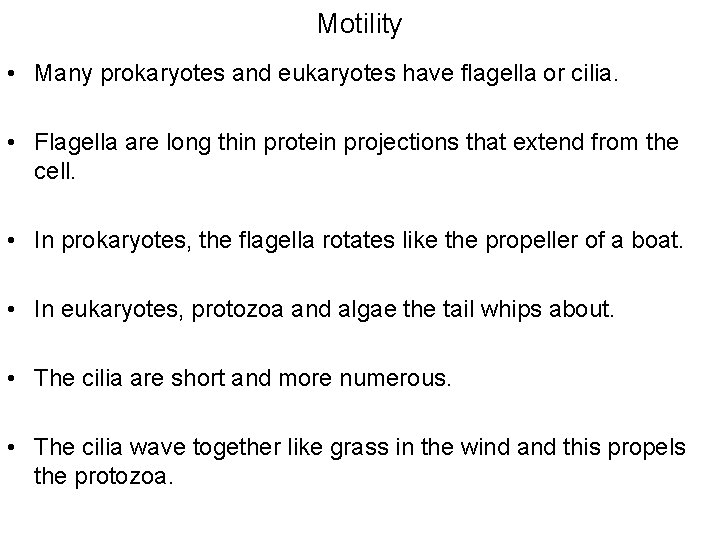 Motility • Many prokaryotes and eukaryotes have flagella or cilia. • Flagella are long