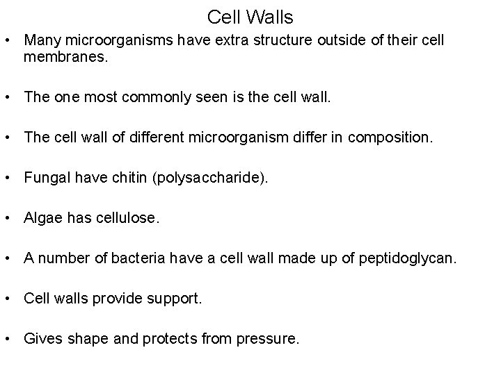Cell Walls • Many microorganisms have extra structure outside of their cell membranes. •