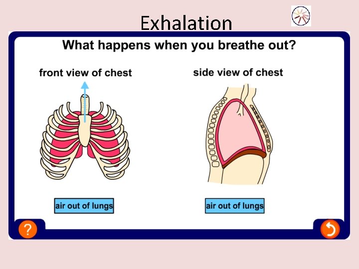 Exhalation 