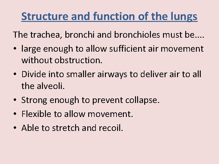 Structure and function of the lungs The trachea, bronchi and bronchioles must be. .