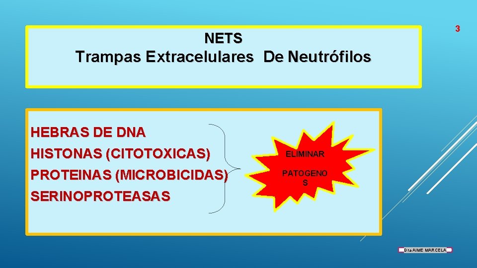 3 NETS Trampas Extracelulares De Neutrófilos HEBRAS DE DNA HISTONAS (CITOTOXICAS) PROTEINAS (MICROBICIDAS) SERINOPROTEASAS