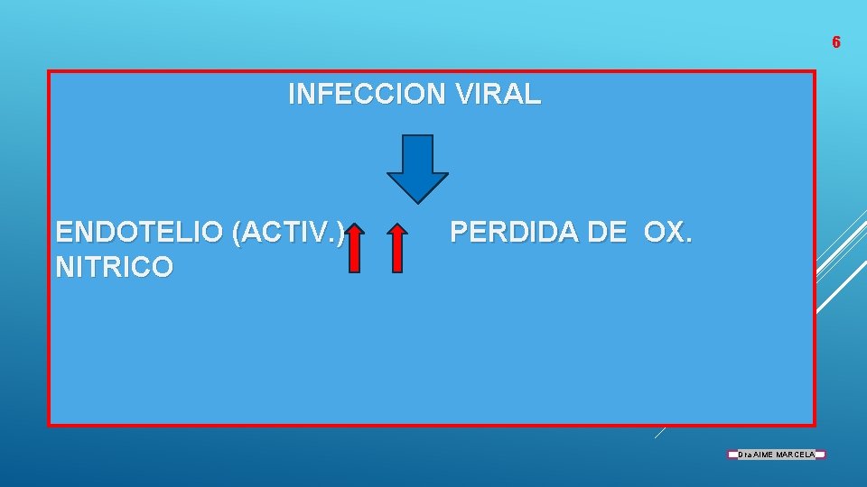 6 INFECCION VIRAL ENDOTELIO (ACTIV. ) NITRICO PERDIDA DE OX. Dra AIME MARCELA 