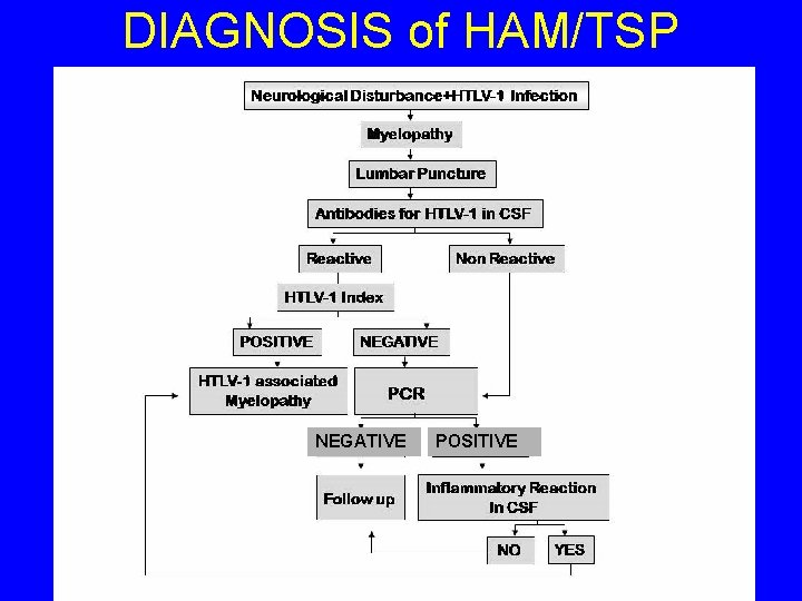 DIAGNOSIS of HAM/TSP NEGATIVE POSITIVE 