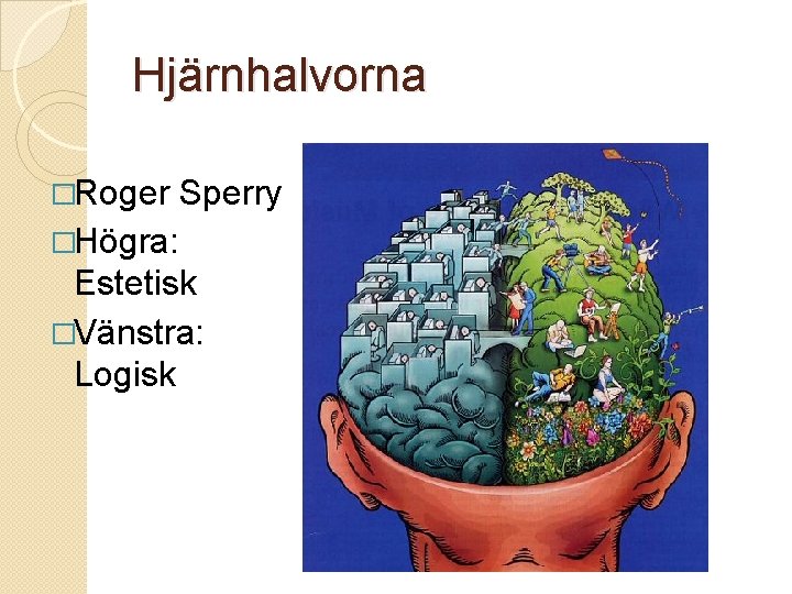 Hjärnhalvorna �Roger Sperry �Högra: Estetisk �Vänstra: Logisk 