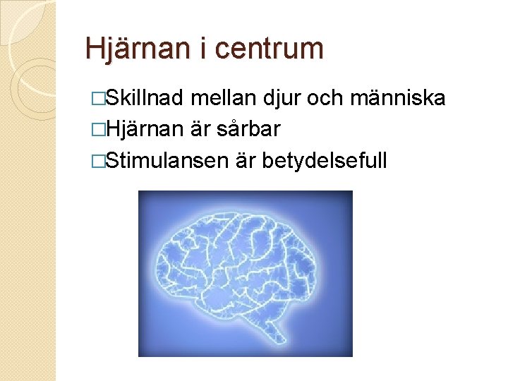 Hjärnan i centrum �Skillnad mellan djur och människa �Hjärnan är sårbar �Stimulansen är betydelsefull