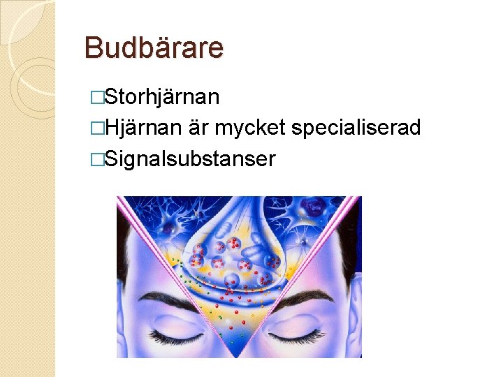 Budbärare �Storhjärnan �Hjärnan är mycket specialiserad �Signalsubstanser 