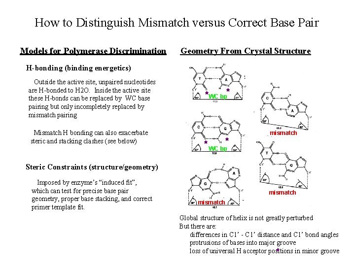 How to Distinguish Mismatch versus Correct Base Pair Models for Polymerase Discrimination Geometry From
