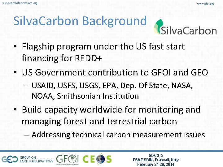 www. earthobservations. org www. gfoi. org Silva. Carbon Background • Flagship program under the