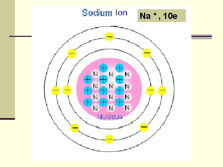 Na + , 10 e 