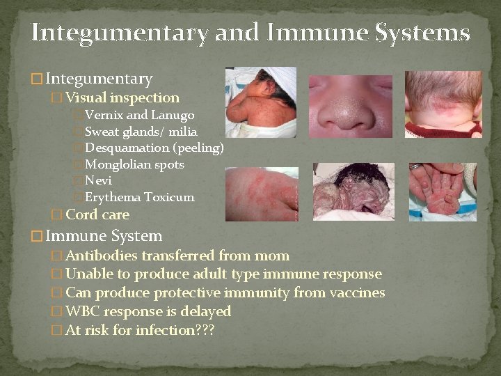 Integumentary and Immune Systems � Integumentary � Visual inspection � Vernix and Lanugo �