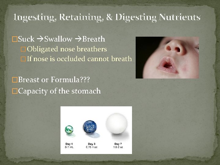 Ingesting, Retaining, & Digesting Nutrients �Suck Swallow Breath � Obligated nose breathers � If