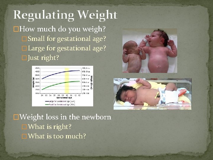 Regulating Weight �How much do you weigh? � Small for gestational age? � Large