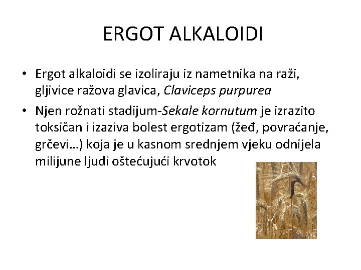 ERGOT ALKALOIDI • Ergot alkaloidi se izoliraju iz nametnika na raži, gljivice ražova glavica,
