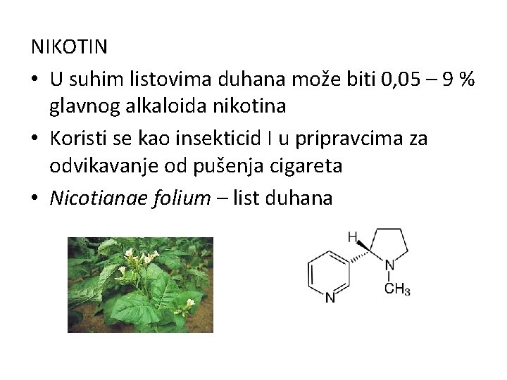 NIKOTIN • U suhim listovima duhana može biti 0, 05 – 9 % glavnog