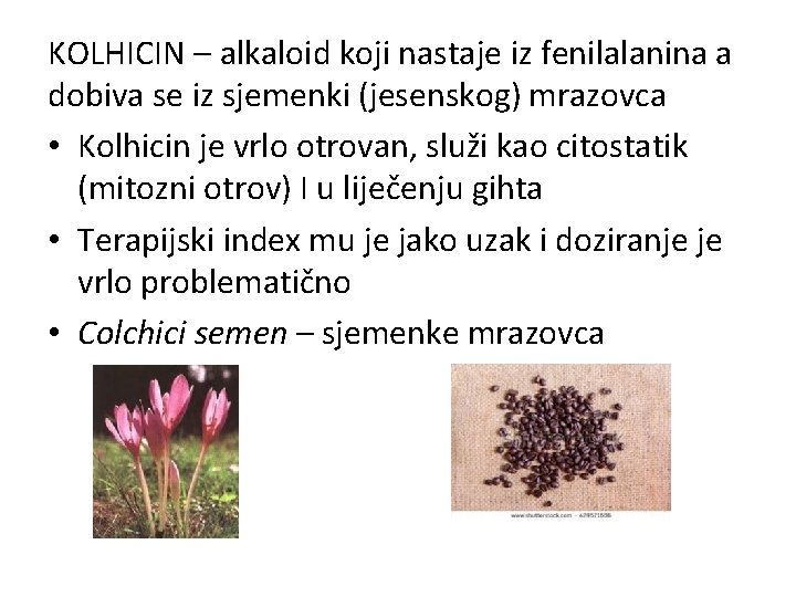 KOLHICIN – alkaloid koji nastaje iz fenilalanina a dobiva se iz sjemenki (jesenskog) mrazovca