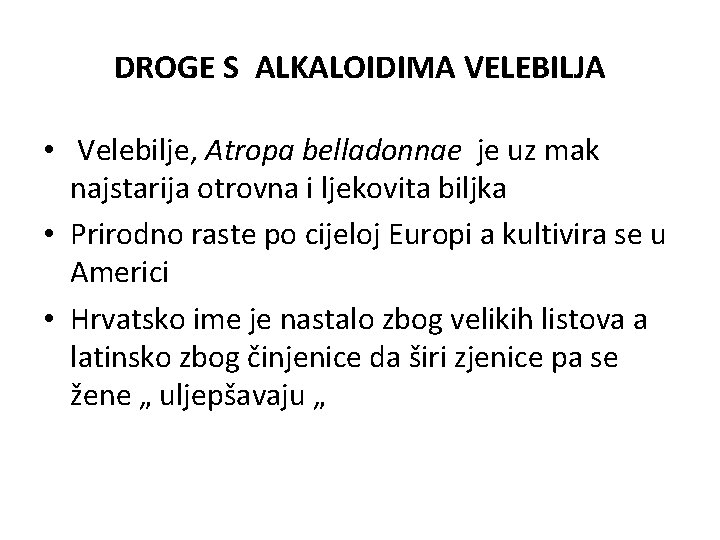 DROGE S ALKALOIDIMA VELEBILJA • Velebilje, Atropa belladonnae je uz mak najstarija otrovna i