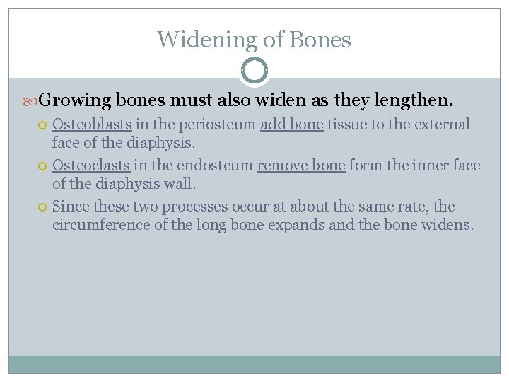 Widening of Bones Growing bones must also widen as they lengthen. Osteoblasts in the