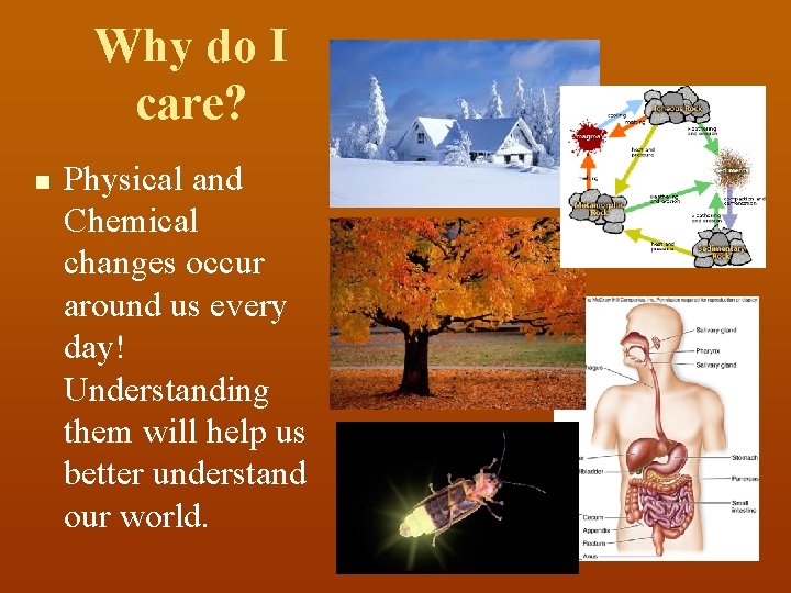 Why do I care? n Physical and Chemical changes occur around us every day!