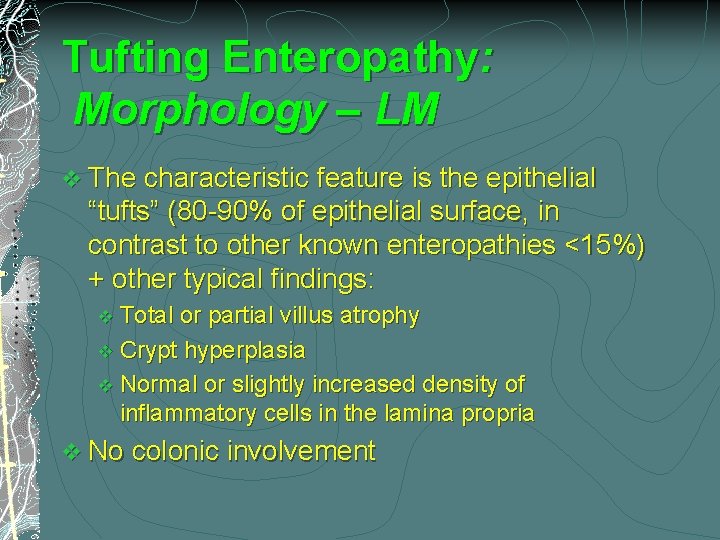 Tufting Enteropathy: Morphology – LM v The characteristic feature is the epithelial “tufts” (80