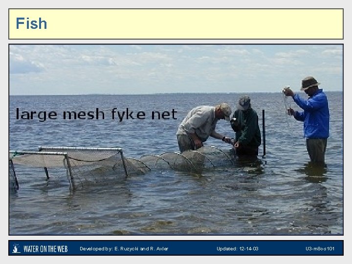 Fish Image of large fyke net Developed by: E. Ruzycki and R. Axler Updated: