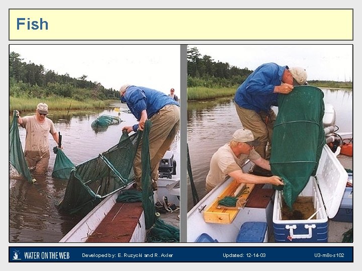 Fish Netting fish - photo Developed by: E. Ruzycki and R. Axler Updated: 12