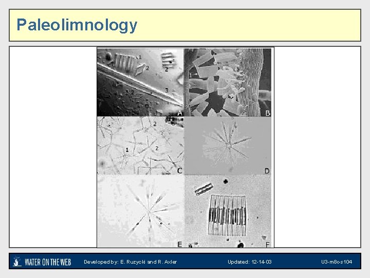 Paleolimnology Photos of microscopic images Developed by: E. Ruzycki and R. Axler Updated: 12