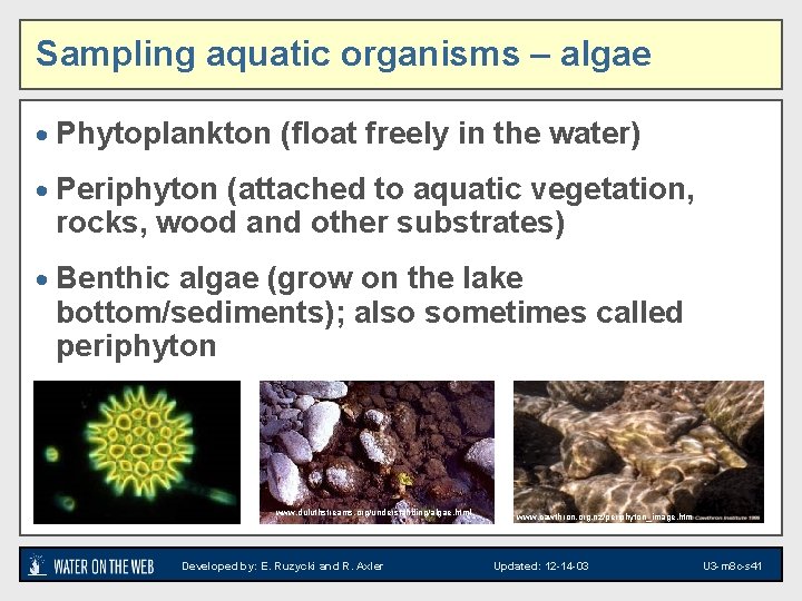 Sampling aquatic organisms – algae · Phytoplankton (float freely in the water) · Periphyton