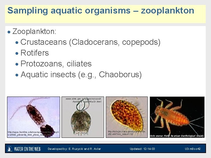 Sampling aquatic organisms – zooplankton · Zooplankton: · Crustaceans (Cladocerans, copepods) · Rotifers ·