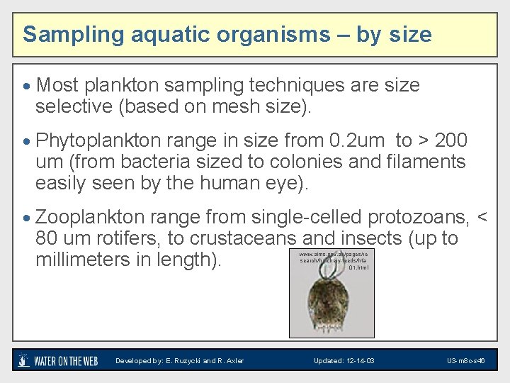 Sampling aquatic organisms – by size · Most plankton sampling techniques are size selective