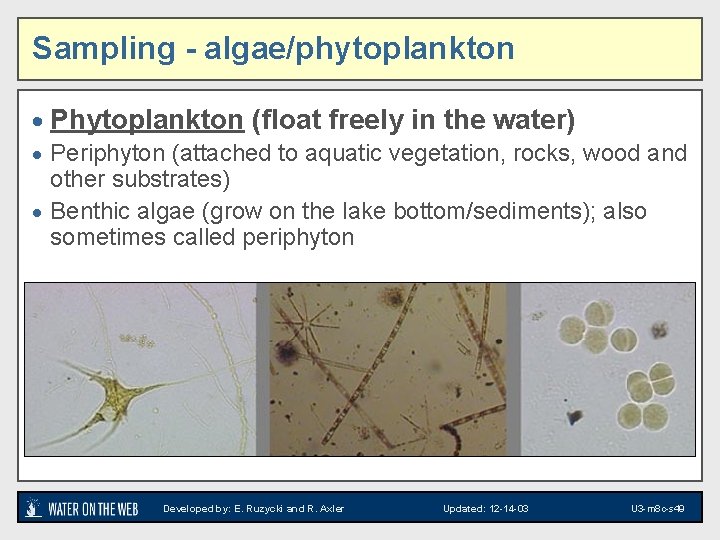 Sampling - algae/phytoplankton · Phytoplankton (float freely in the water) · Periphyton (attached to