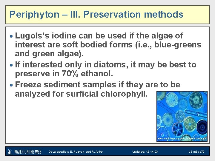 Periphyton – III. Preservation methods · Lugols’s iodine can be used if the algae