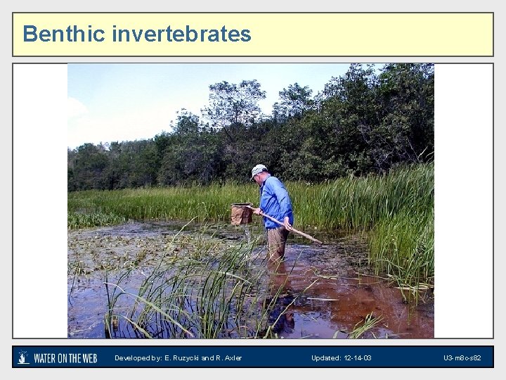 Benthic invertebrates New Section Photo Developed by: E. Ruzycki and R. Axler Updated: 12