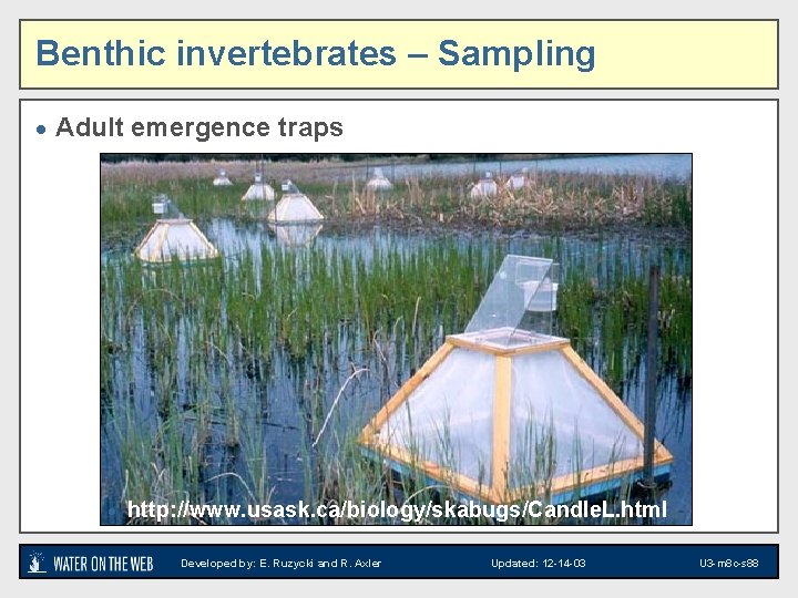 Benthic invertebrates – Sampling · Adult emergence traps · http: //www. usask. ca/biology/skabugs/Candle. L.