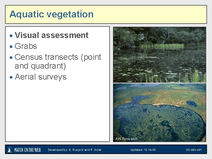 Aquatic vegetation · Visual assessment · Grabs · Census transects (point and quadrant) ·