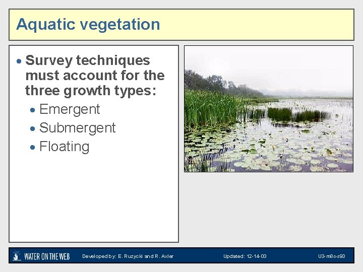 Aquatic vegetation · Survey techniques must account for the three growth types: · Emergent