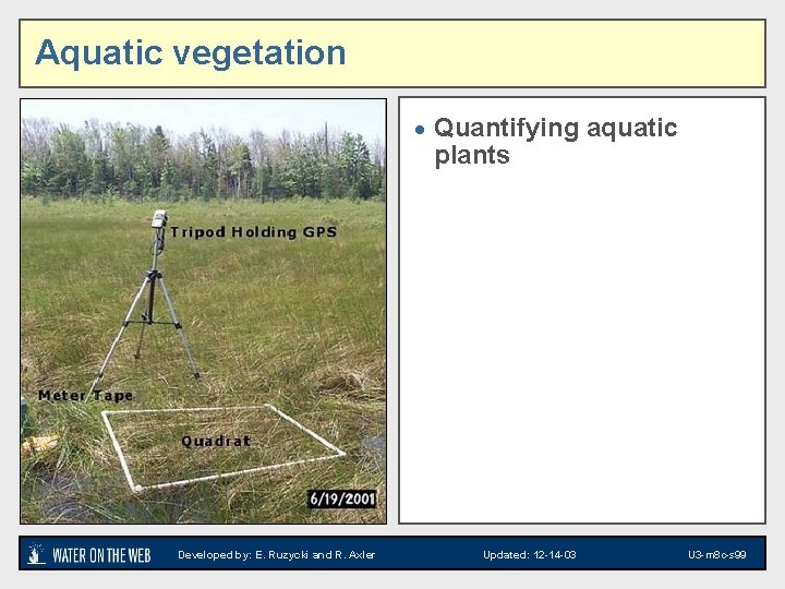 Aquatic vegetation · Quantifying aquatic plants Developed by: E. Ruzycki and R. Axler Updated: