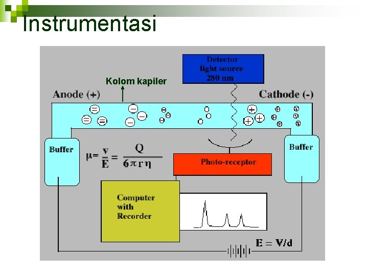 Instrumentasi Kolom kapiler 