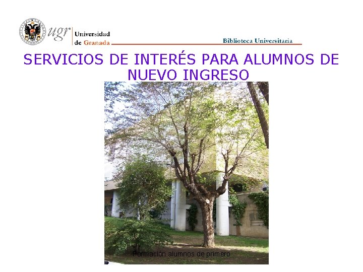 SERVICIOS DE INTERÉS PARA ALUMNOS DE NUEVO INGRESO Formación alumnos de primero 