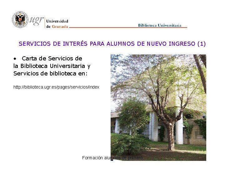 SERVICIOS DE INTERÉS PARA ALUMNOS DE NUEVO INGRESO (1) • Carta de Servicios de
